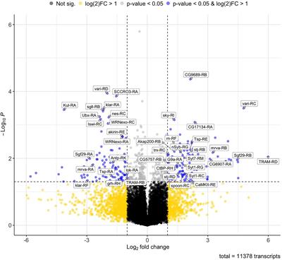 Transcriptional Correlates of Chronic Alcohol Neuroadaptation in Drosophila Larvae